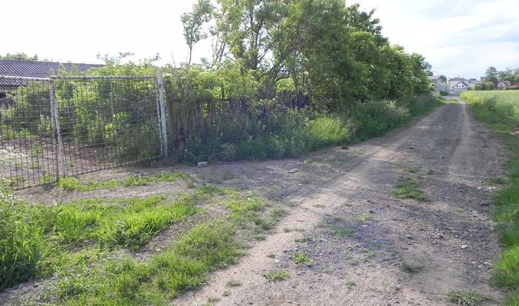 Prodej komerčního pozemku 4 824 m², Bystročice – náhled fotky 4