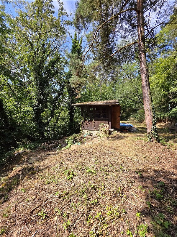 Prodej zahrady 983 m² — photo 2