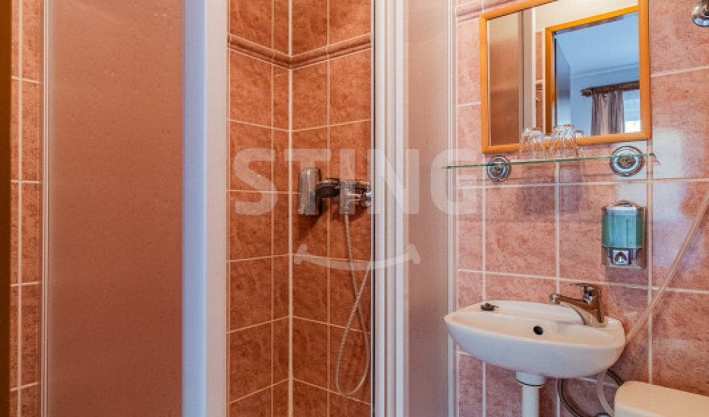 Prodej ubytovacího objektu 813 m², Spálov – náhled fotky 19