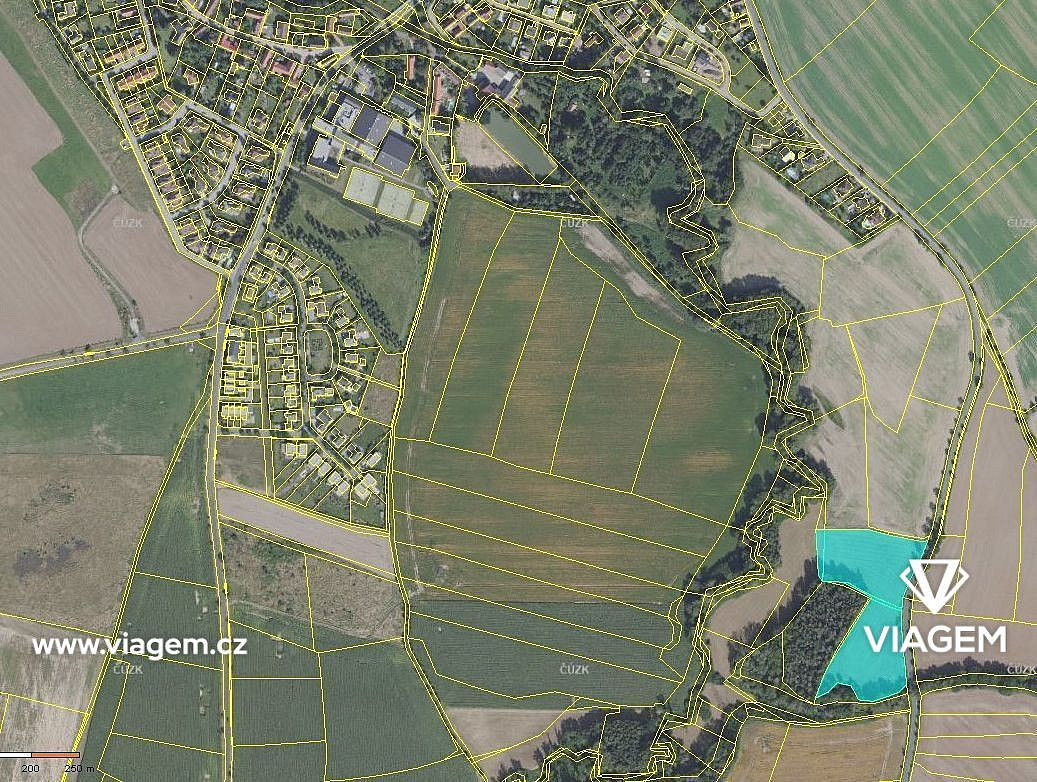 Pole 15 798 m², Podíl 50 % o výměře 8 516 m² – pohled 4