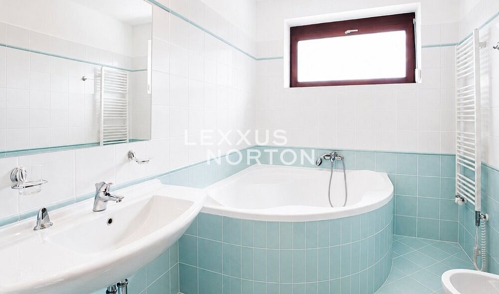 Pronájem domu 373 m² s pozemkem 857 m², Praha – náhled fotky 4