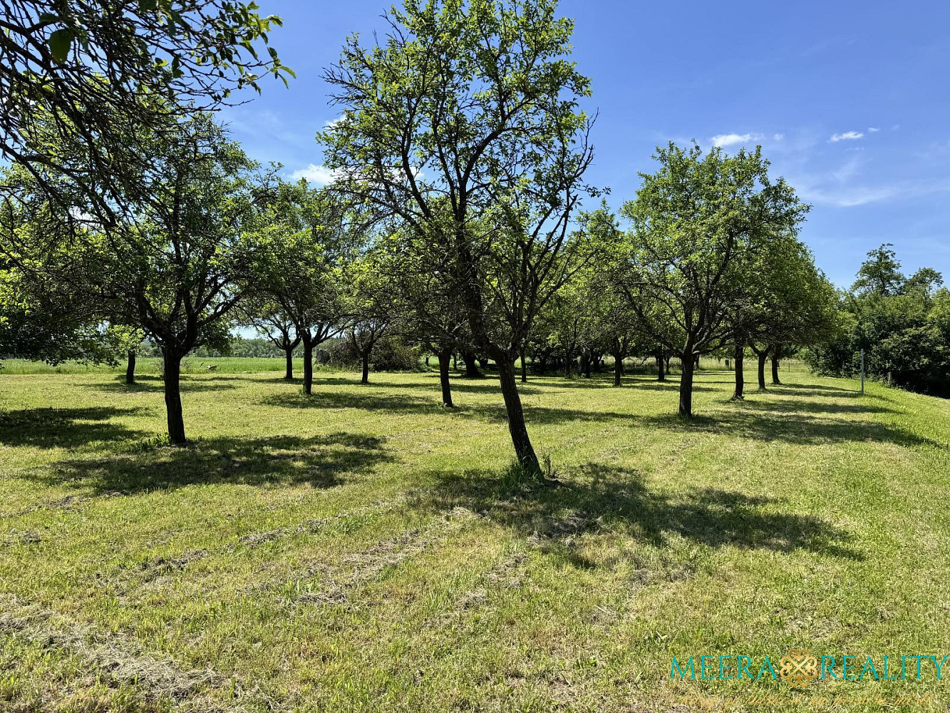 Prodej stavebního pozemku 2980 m², Bílé Poličany, okres Trutnov – pohled 5