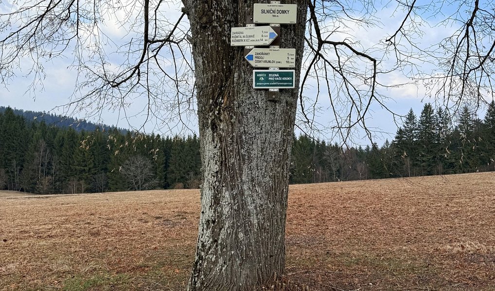 Prodej chaty/chalupy 96 m² s pozemkem 1 021 m², Přídolí – náhled fotky 29