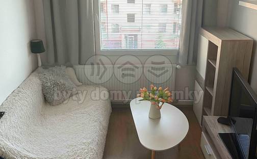 Pronájem bytu 1+kk 30 m², Krašovská, Plzeň - Bolevec