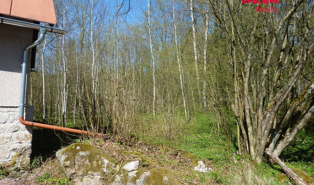 Prodej stavebního pozemku 1 453 m², Brzice – náhled fotky 6