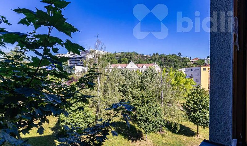 Prodej bytu 1+1 49 m², Praha – náhled fotky 14