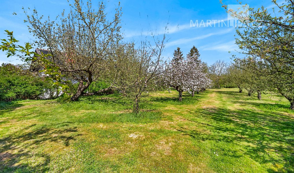 Prodej stavebního pozemku 880 m², Kamenný Přívoz – náhled fotky 12