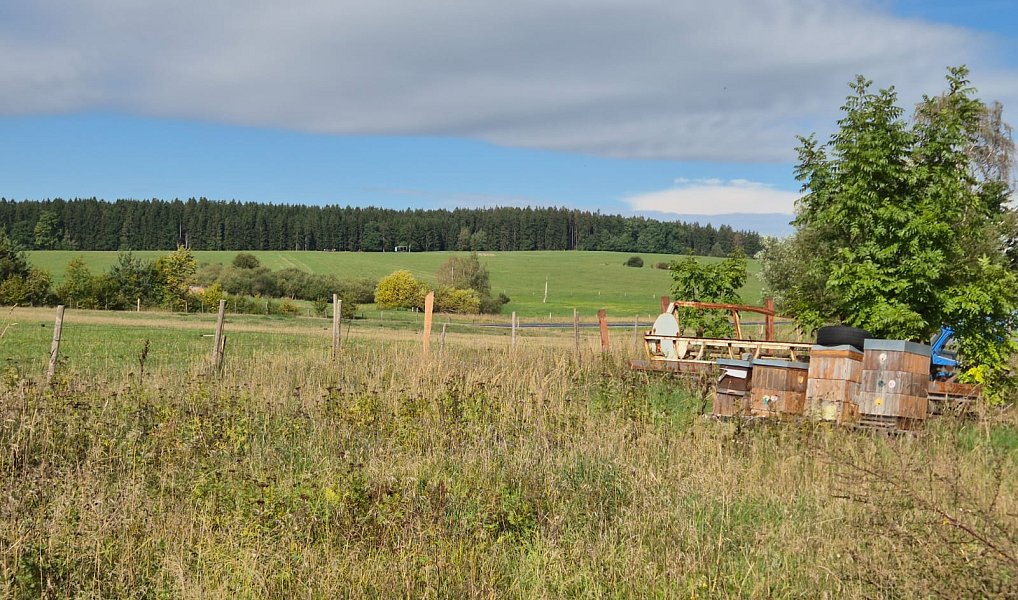 Prodej komerčního pozemku 28 305 m², Velká Hleďsebe – náhled fotky 15