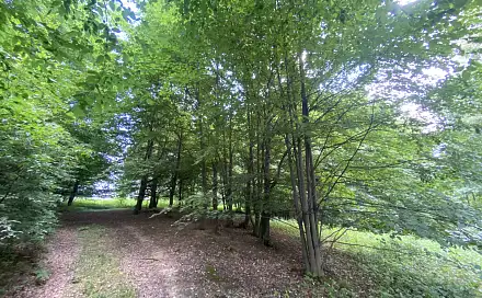 Prodej louky 1 547 m², Olbramice, okres Ostrava-město