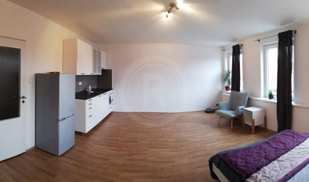 Pronájem bytu 1+kk, 30 m², České Budějovice 3 - České Budějovice, České Budějovice