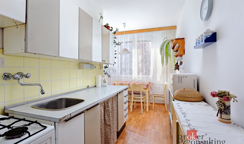Pronájem bytu 1+1 40 m², Plzeň – náhled fotky 3