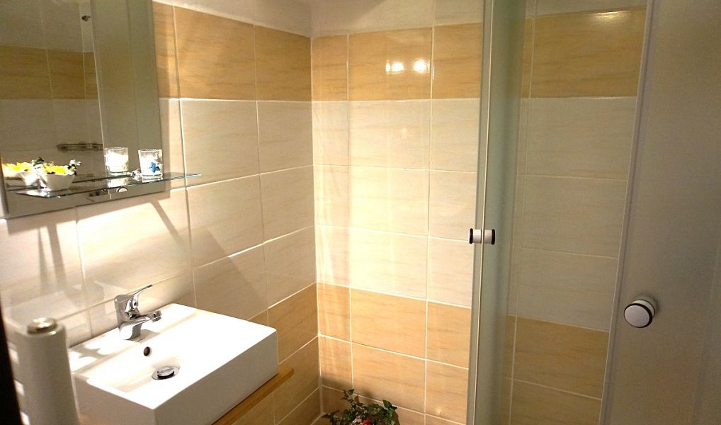 Pronájem bytu 2+1 38 m², České Budějovice – náhled fotky 2