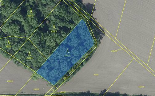 Prodej lesa 1 581 m², Děčany, okres Litoměřice