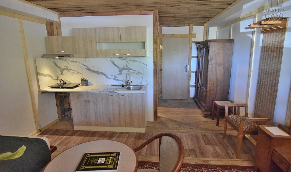 Pronájem bytu 1+kk 25 m², Čisovice – náhled fotky 8