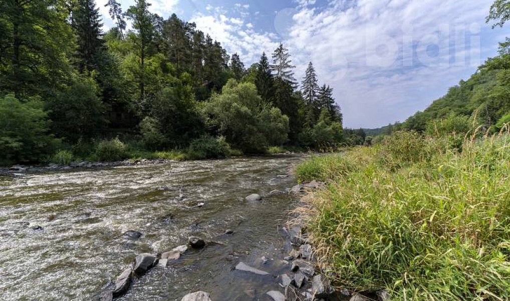 Prodej chaty/chalupy 40 m² s pozemkem 40 m², Kamenný Přívoz – náhled fotky 23