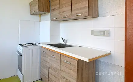 Pronájem bytu 2+1 47 m², Aléská, Bílina - Pražské Předměstí, okres Teplice