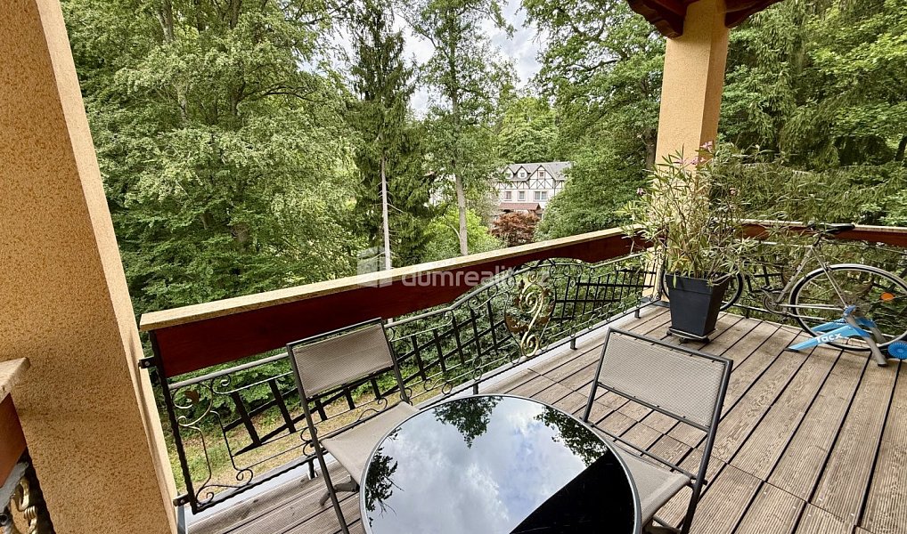Prodej bytu 4+kk 143 m², Mariánské Lázně – náhled fotky 11