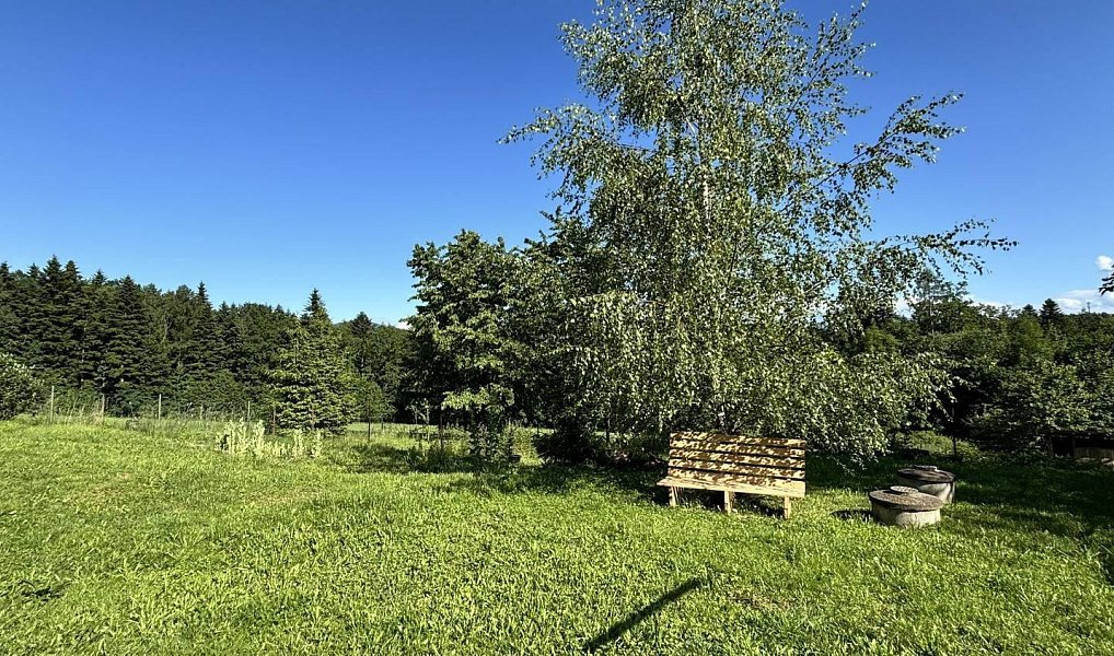 Prodej domu 150 m² s pozemkem 8 440 m², Třinec – náhled fotky 4