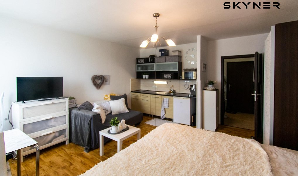 Pronájem bytu 1+kk 32 m², Ústí nad Labem – náhled fotky 3