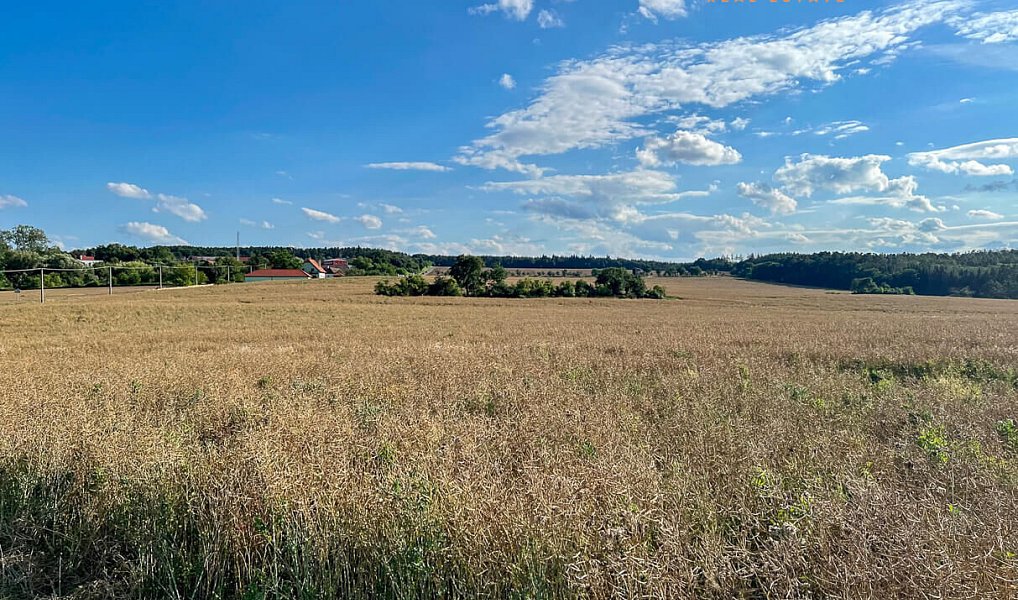 Prodej stavebního pozemku 7 409 m², Davle – náhled fotky 4