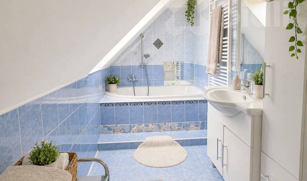 Prodej domu 180 m² s pozemkem 332 m², Borovany – náhled fotky 7