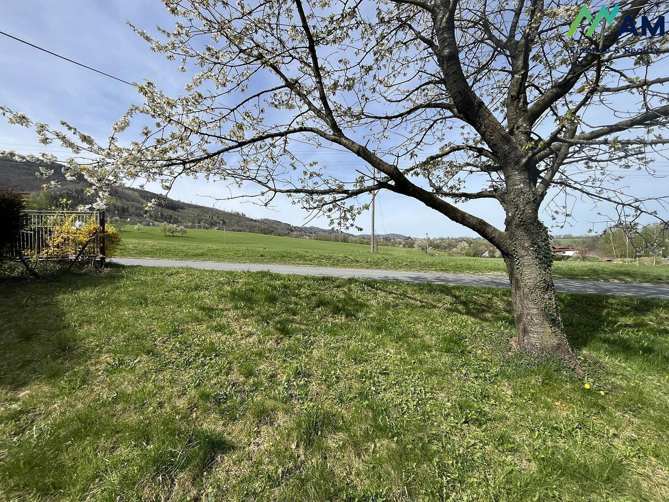 Fotka 7 z 15