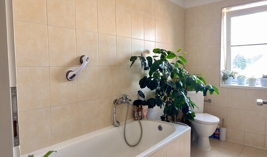 Prodej nájemního domu, činžáku 303 m², Veselí nad Lužnicí – náhled fotky 15