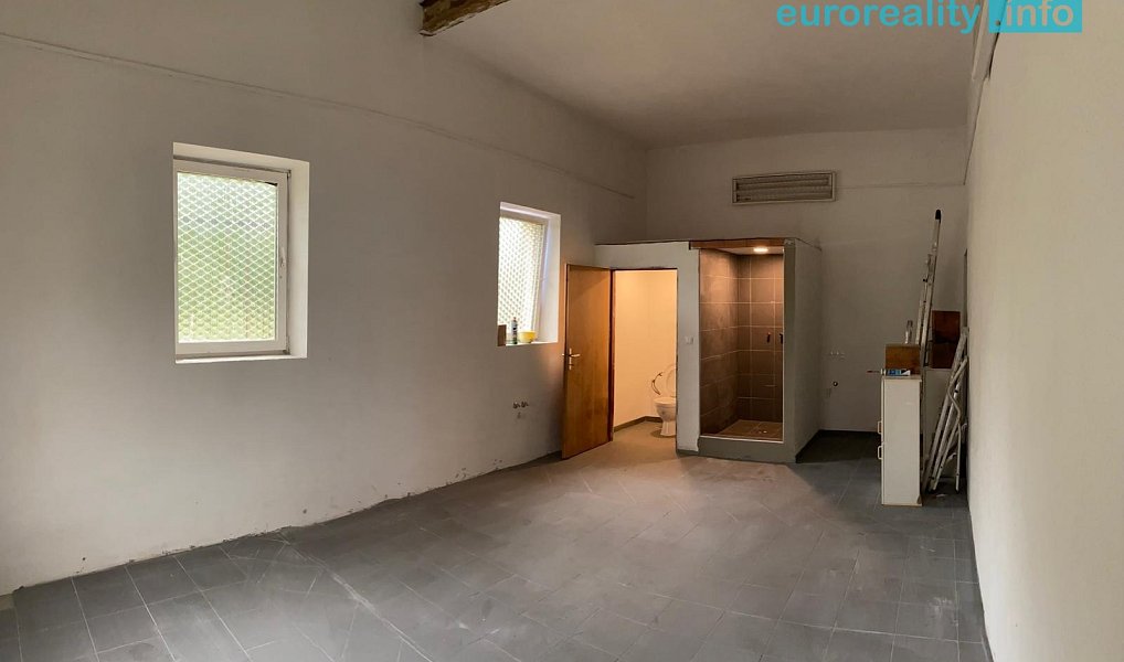 Prodej skladovacích prostor 300 m², Planá – náhled fotky 4