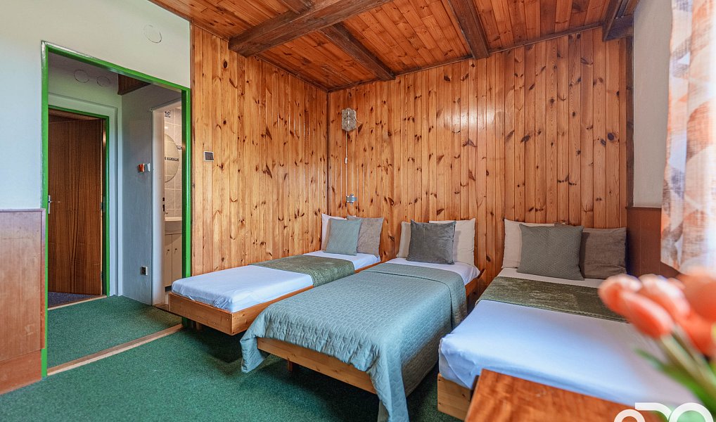 Prodej ubytovacího objektu 906 m², Rokytnice nad Jizerou – náhled fotky 28