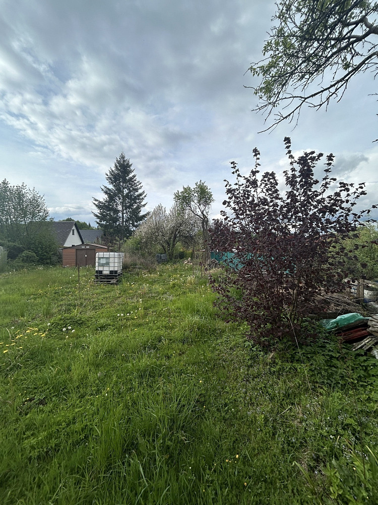 Prodej zahrady 874 m² – fotografie 4