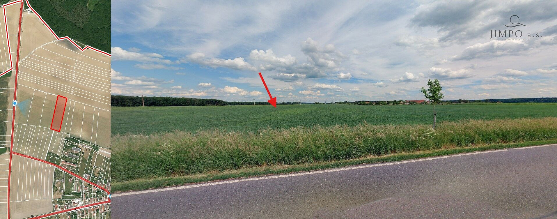 Prodej pole 42 163 m² – fotografie 3