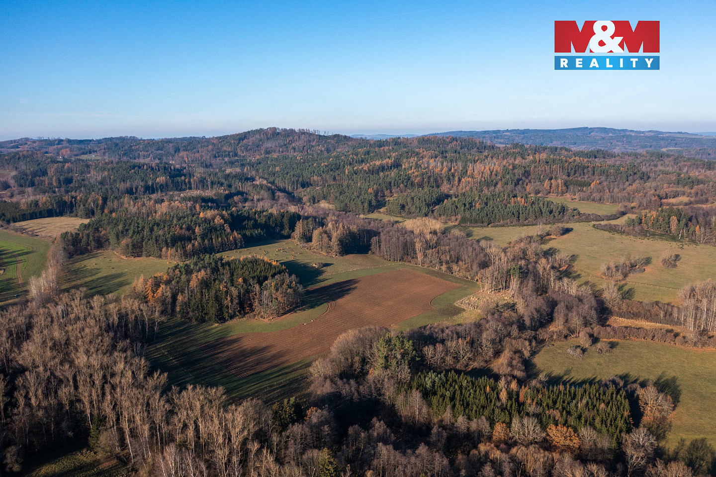 Prodej lesa 25 838 m² – fotografie 2