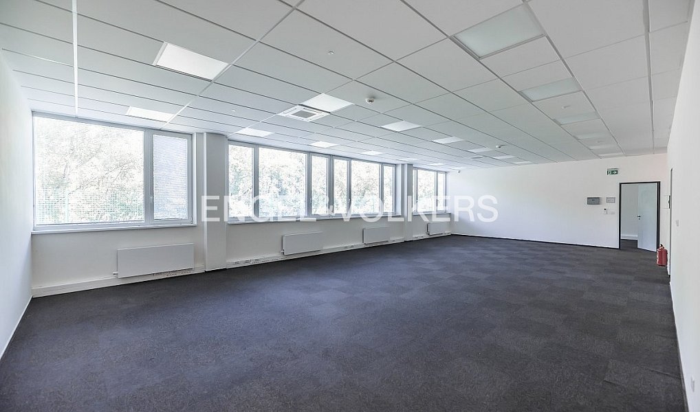 Pronájem výrobních prostor 6 513 m², Krupka – náhled fotky 9
