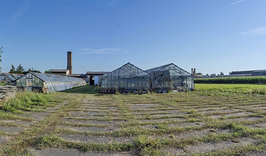 Prodej zemědělského objektu 4 000 m², Holice – náhled fotky 10