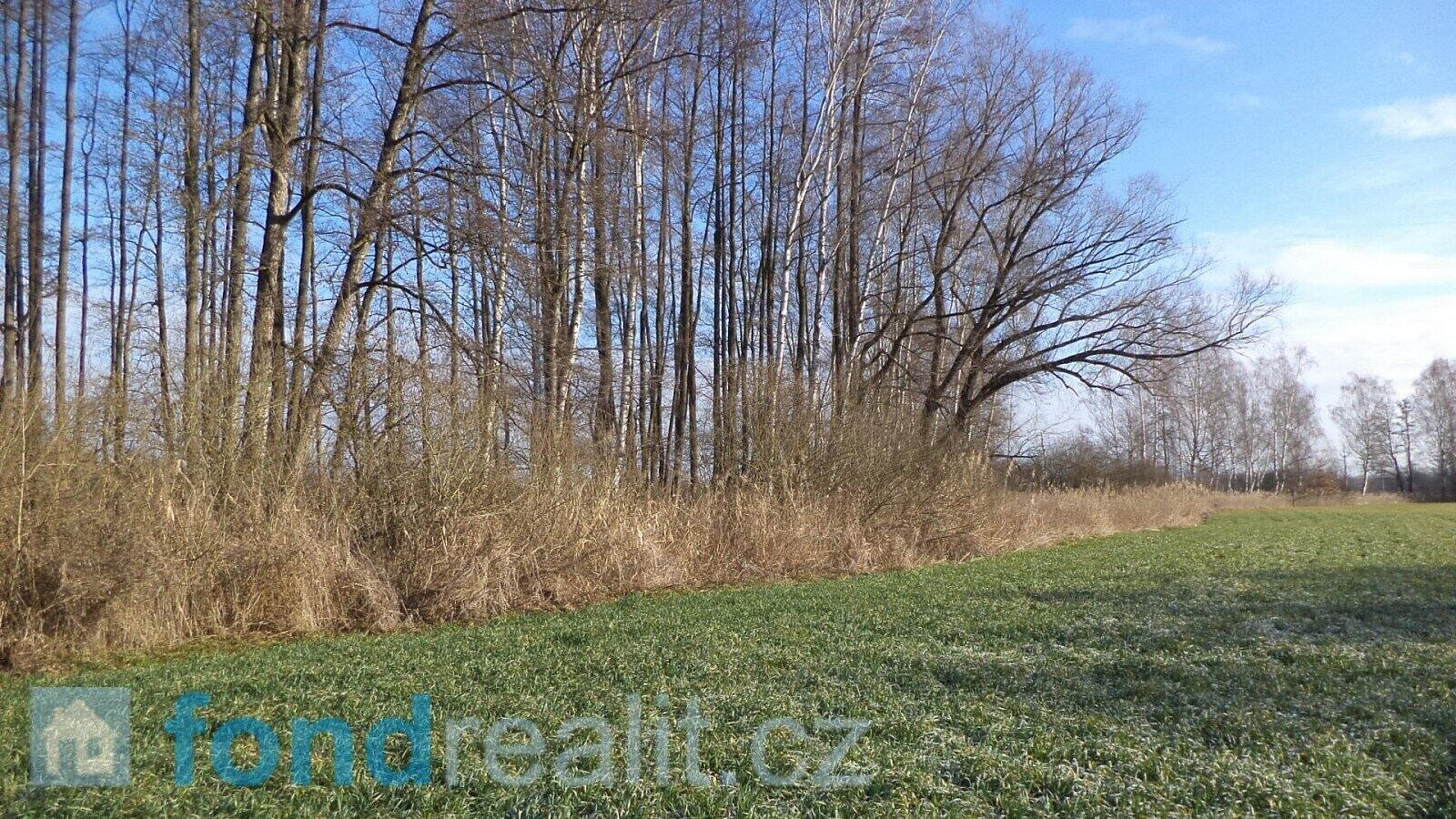 Prodej pozemku 41 773 m² – pohled 2