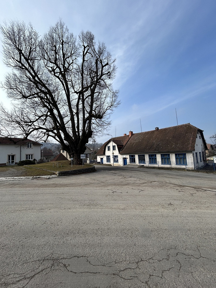 Prodej komerčního objektu (jiného typu) 495 m² — photo 5