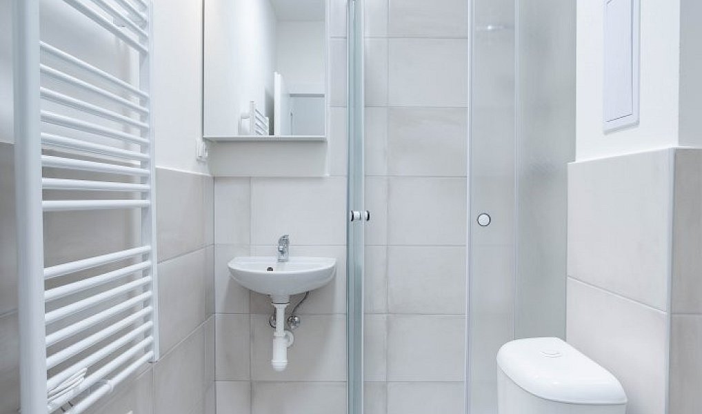 Pronájem bytu 1+kk 22 m², Ostrava – náhled fotky 5