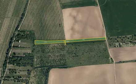 Prodej pole 3 982 m², Kostelec, okres Hodonín