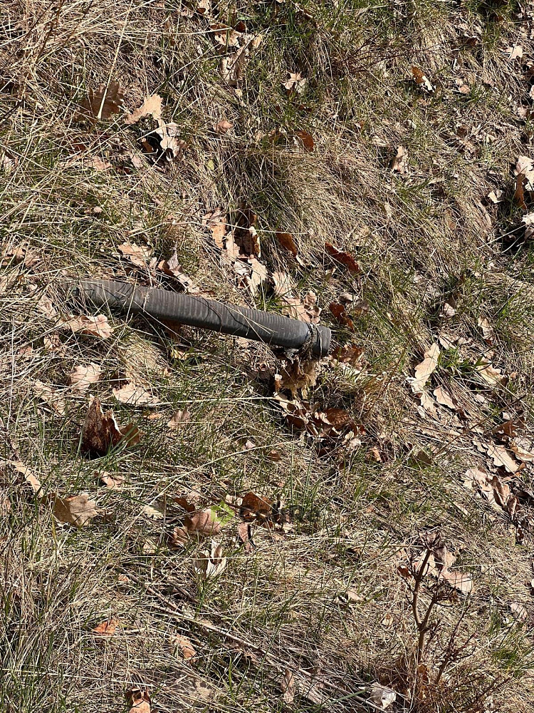 Fotka 10 z 12