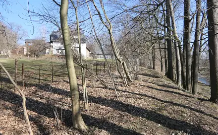 Prodej lesa 656 m², Raspenava, okres Liberec
