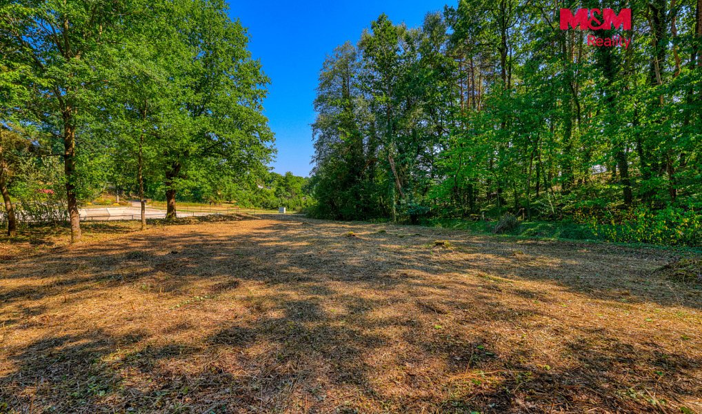 Prodej zahrady 2 248 m², Velký Bor – náhled fotky 8