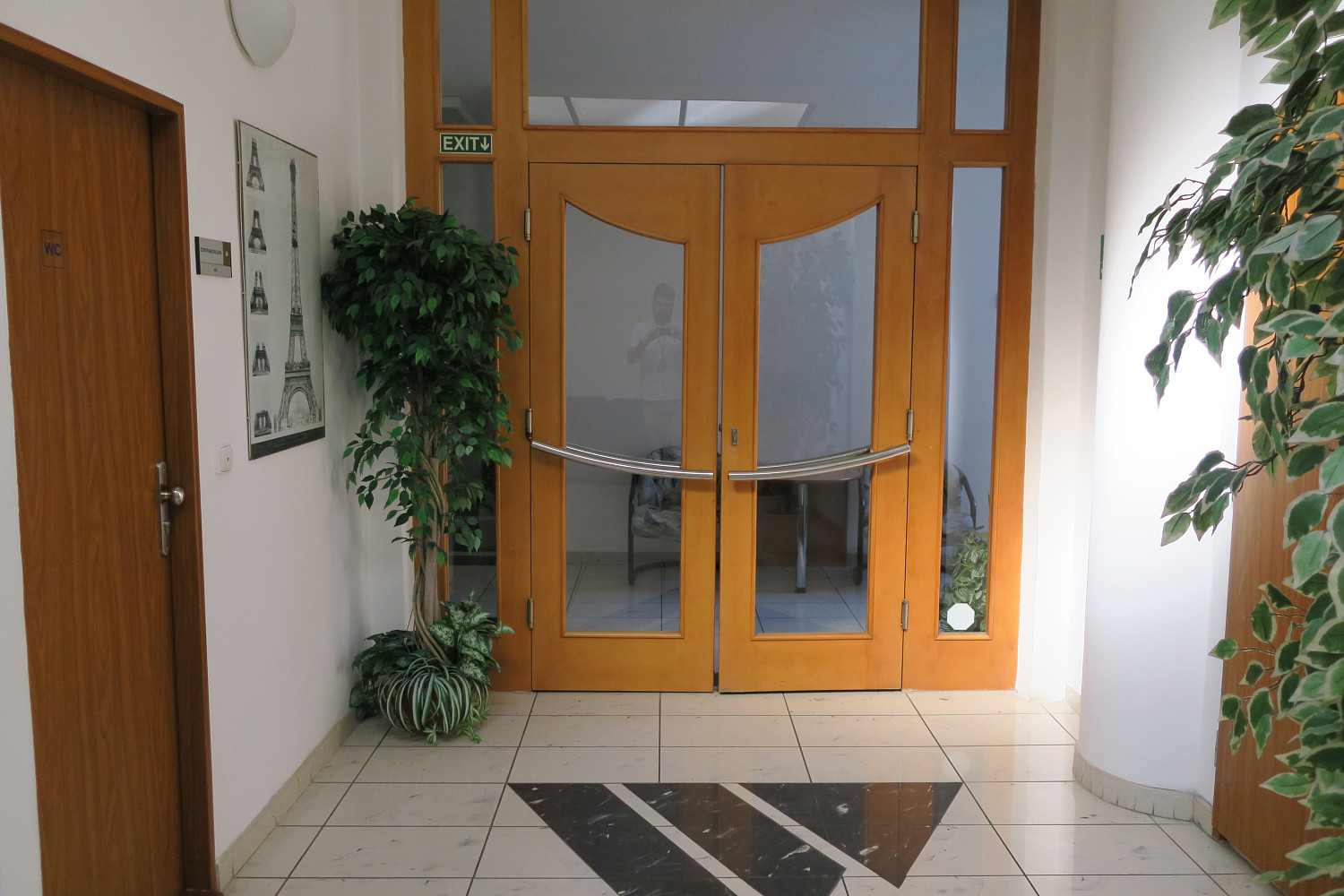 Pronájem obchodních prostor 2 100 m² – fotografie 4
