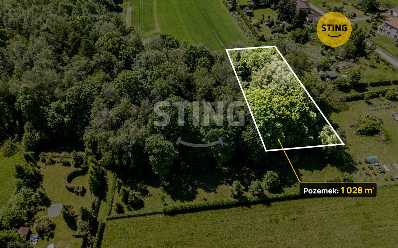 Prodej lesa 1 028 m²
