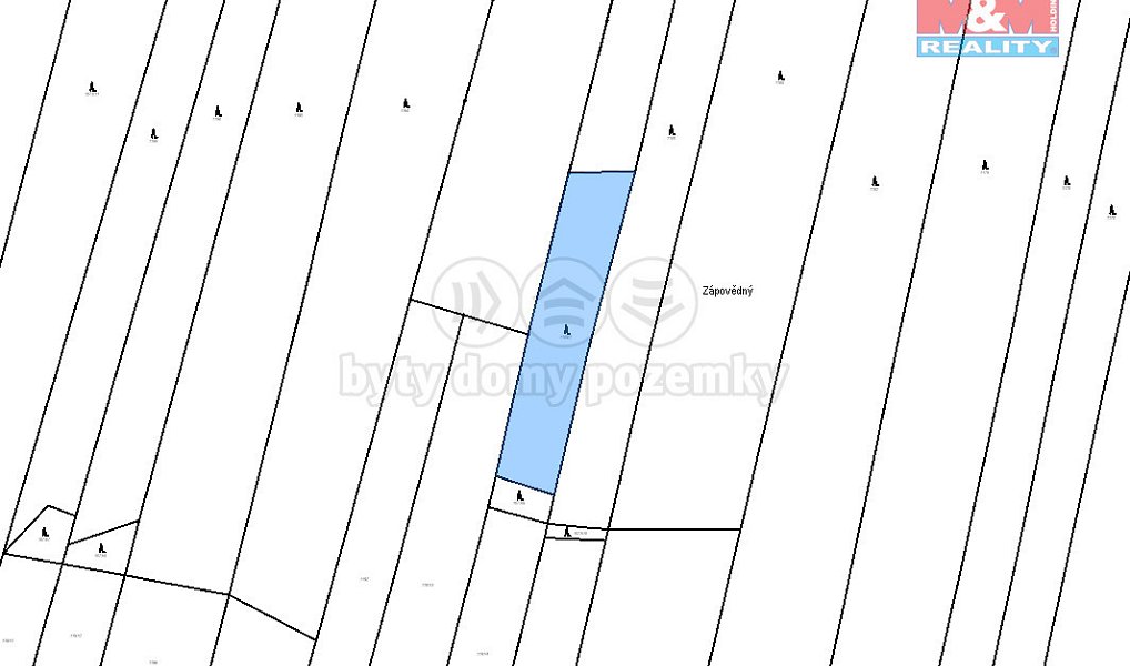 Prodej lesa 4 993 m², Jetětice – náhled fotky 2