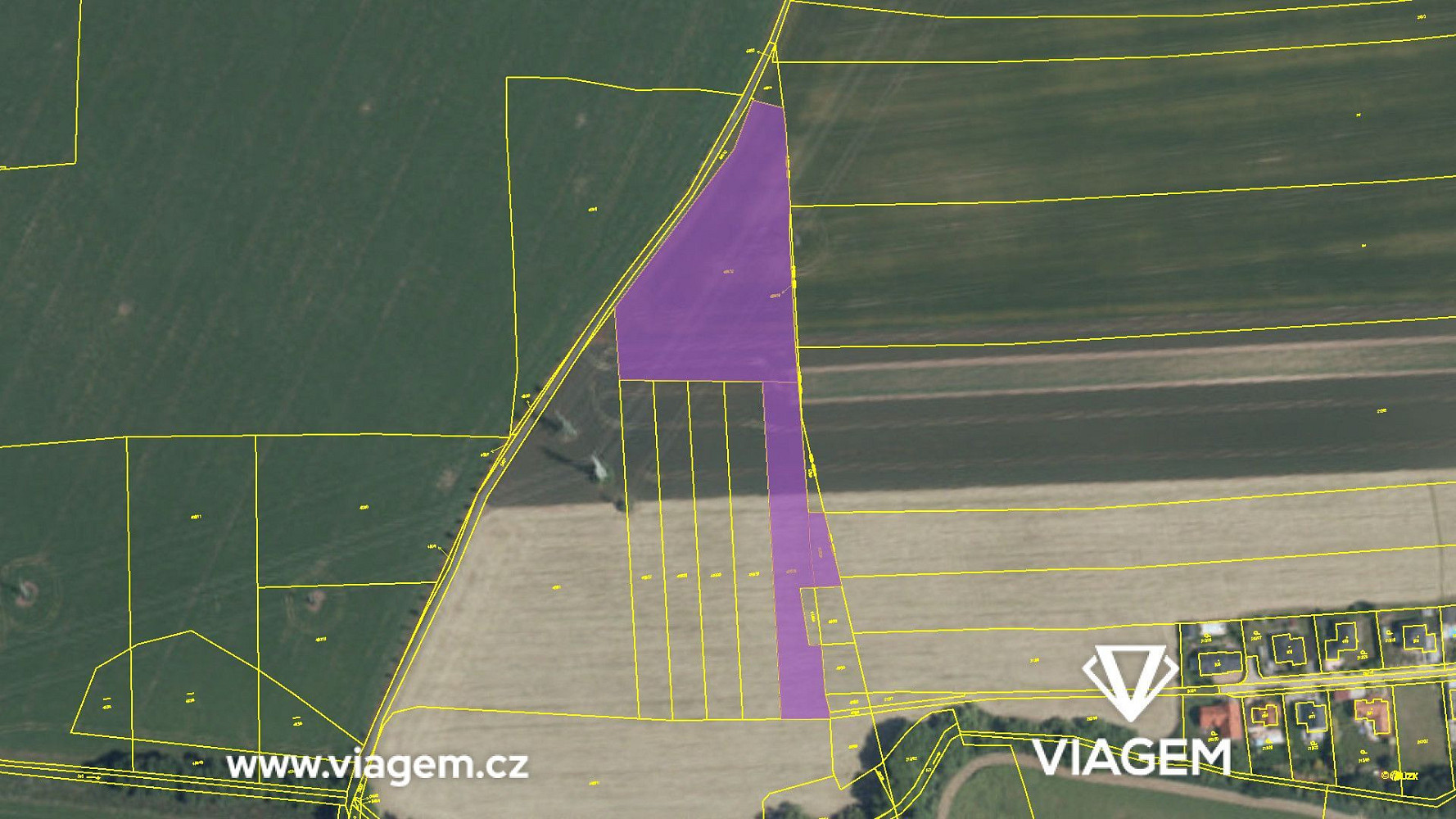 Prodej pole 5 915 m² – fotografie 4
