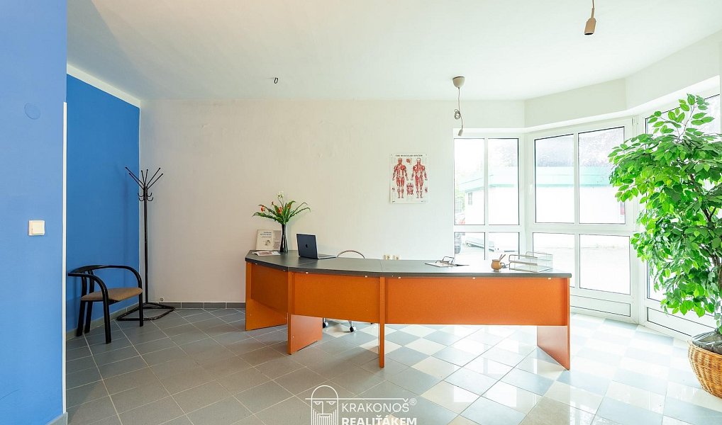 Pronájem komerčního objektu (jiného typu) 96 m², Hranice – náhled fotky 16