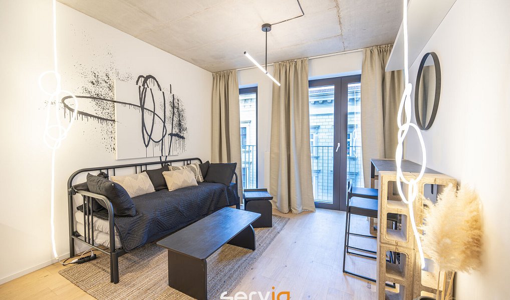 Pronájem bytu 1+kk, 26 m², Zábrdovice - Brno-město, Brno