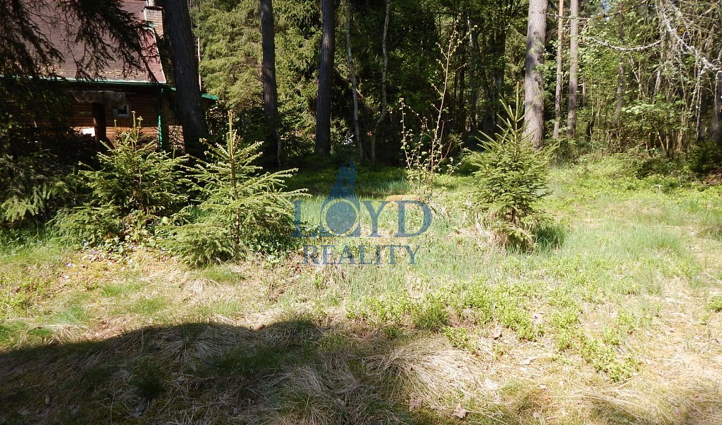Prodej chaty/chalupy 45 m² s pozemkem 1 009 m², Tatrovice – náhled fotky 12