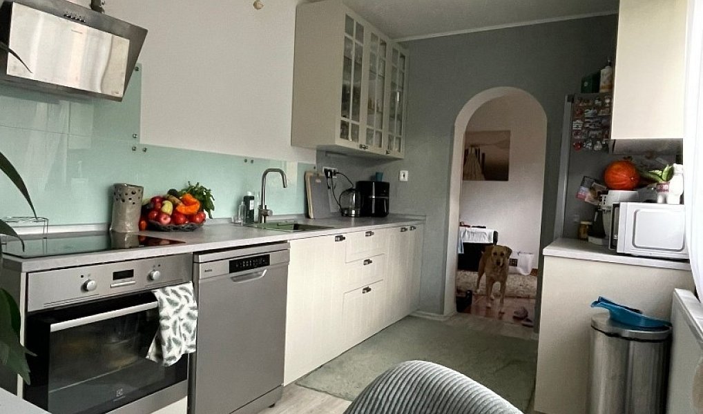 Prodej domu 200 m² s pozemkem 2 284 m², Liberec – náhled fotky 12