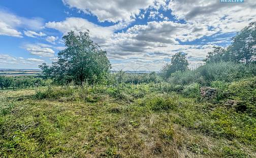 Prodej zahrady 3 500 m², Třebenice, okres Litoměřice